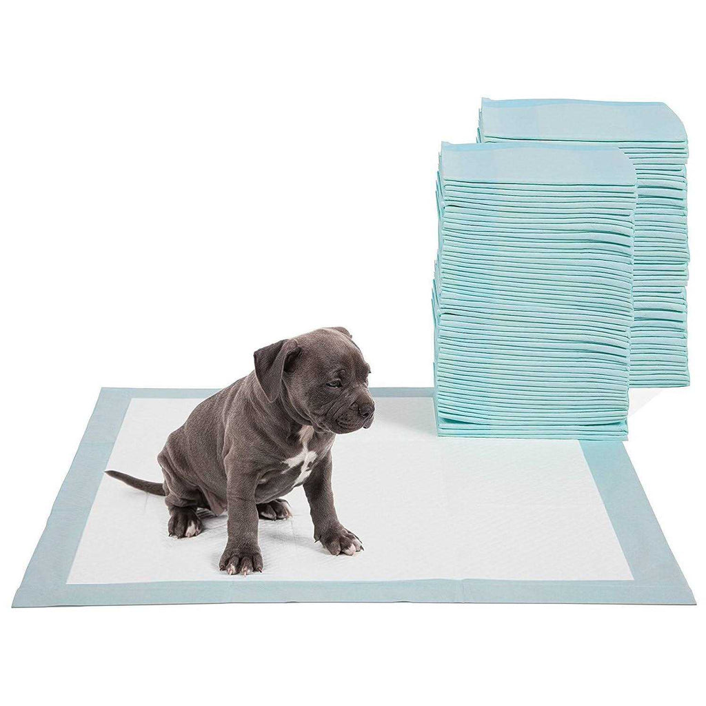 Pet Potty Training Pads N73238