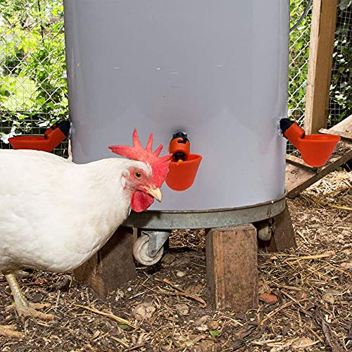 36 Pack Poultry Drinking Machine Chicken Drinking Cup J953836