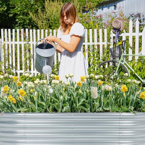 Galvanized Metal Raised Garden Bed 4x2x1 ft F810