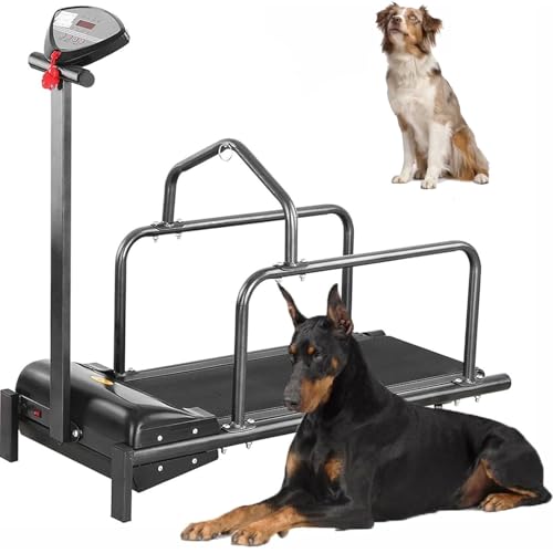 Indoor Dog Treadmill K3779