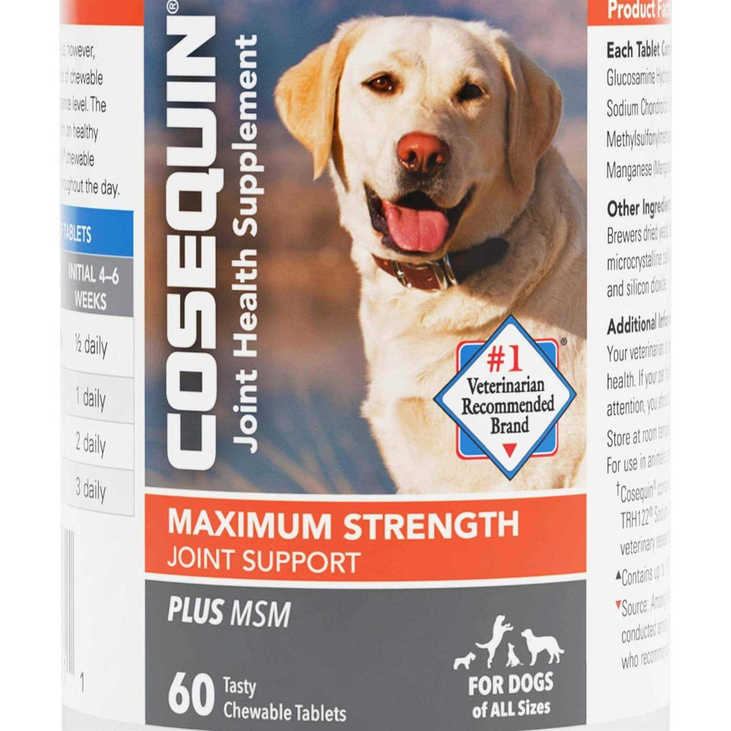 Maximum Strength Joint Support Plus MSM T925