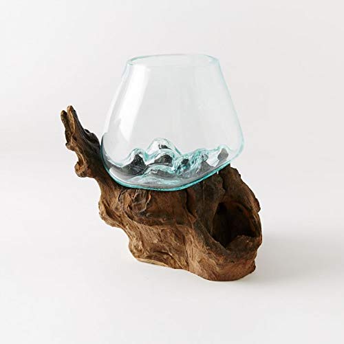 Hand Blown Molten Glass & Teak Wood Terrarium (6" - 7" High) Y634481