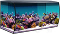 32.5 Gal Marine Salt Water Aquarium Kit with LED Lights and Filtration System X386984