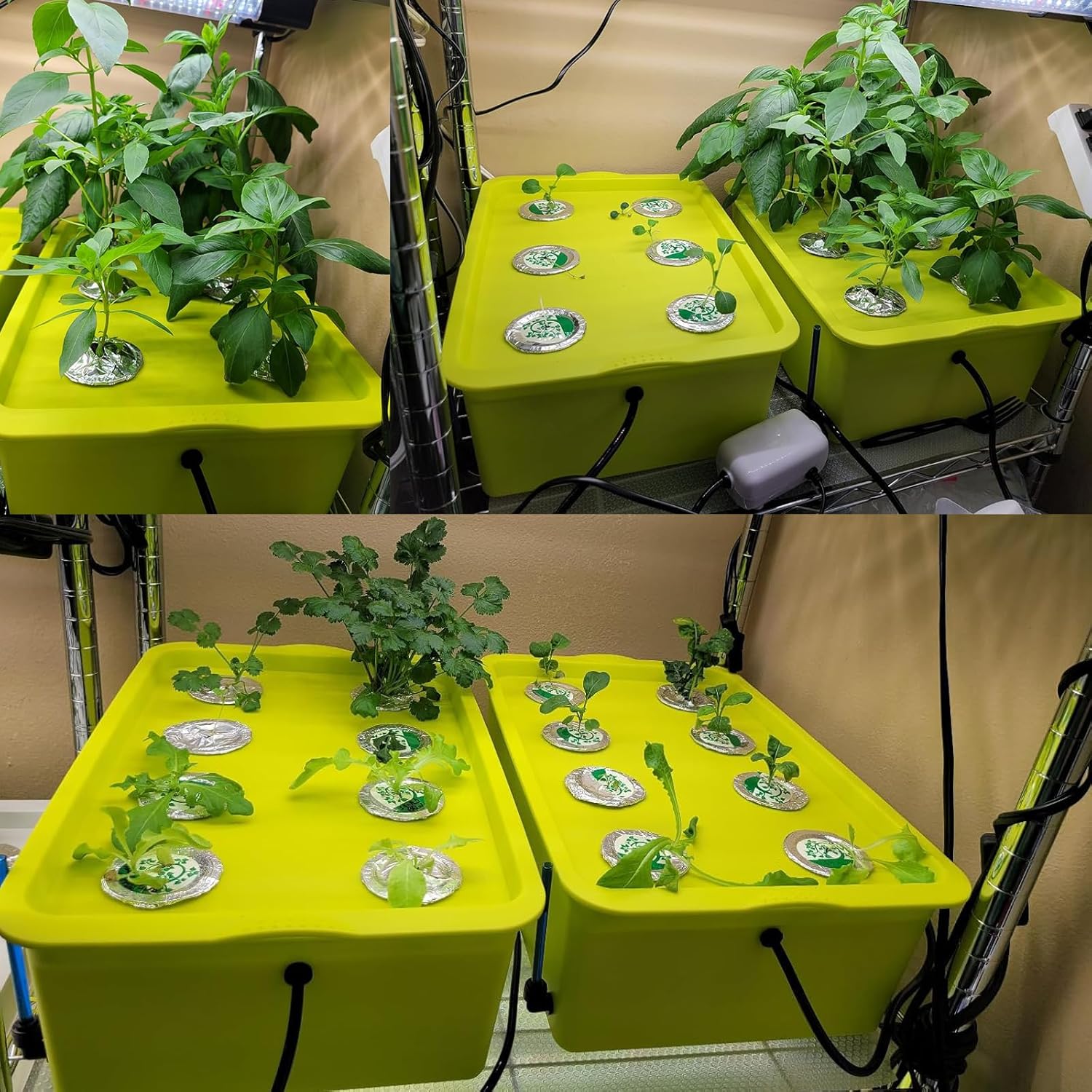 Medium Size 6 Plant Sites Hydroponic System Growing Kit with Air Pump I650583