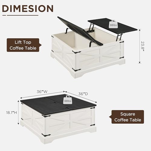 Light Brown Wood Lift Top Coffee Table with Storage N6606