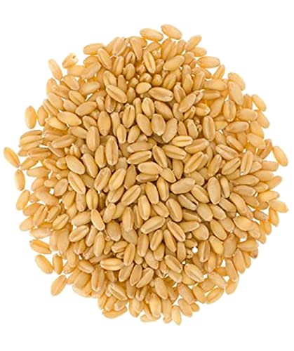 25 LBS Soft White Wheat Berries I593381