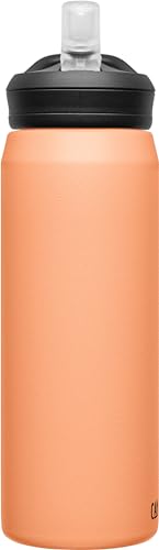 Insulated Stainless Steel Water Bottle S3133