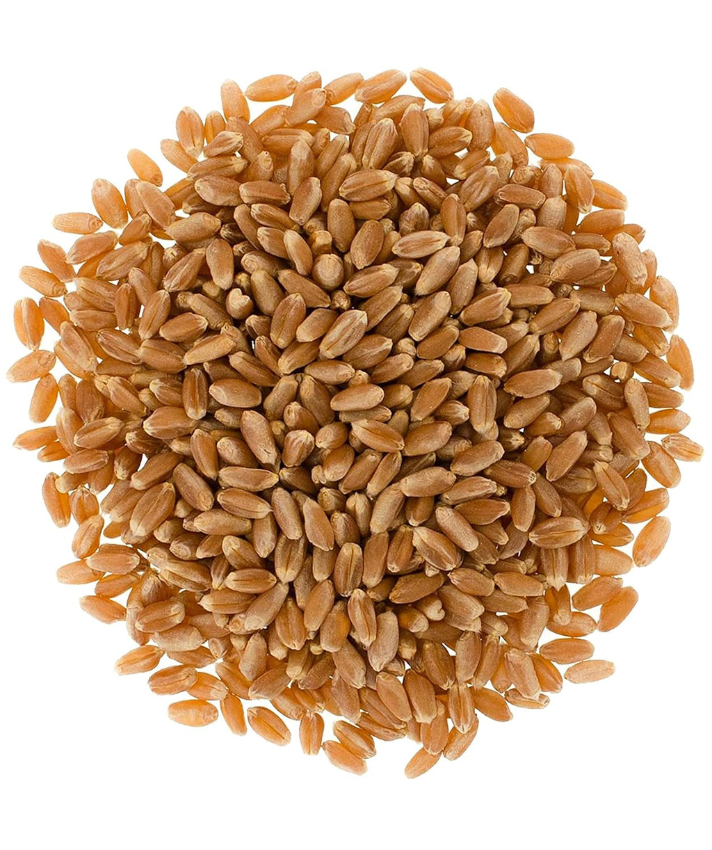 25 LBS Hard Red Spring Wheat Berries E326