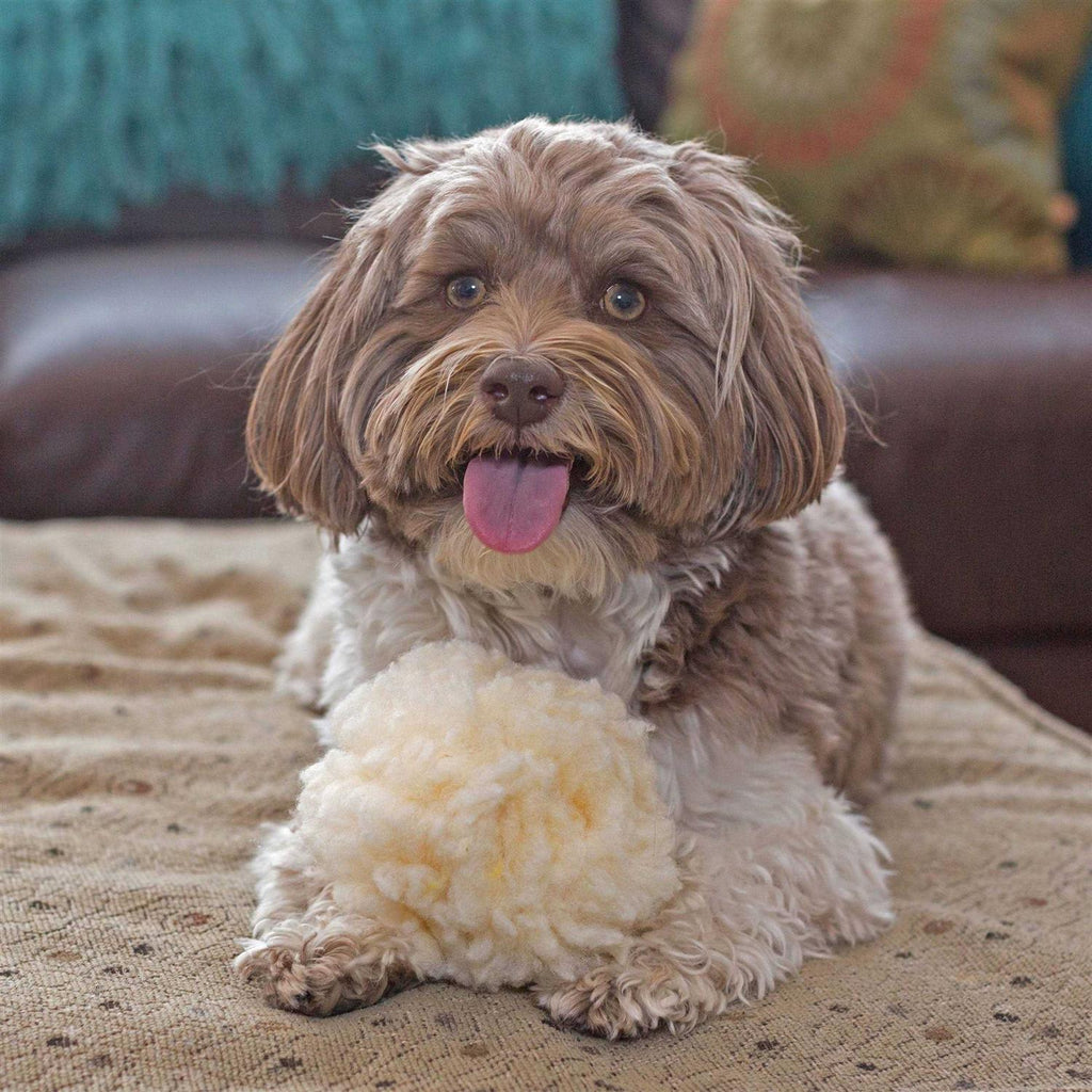 HuggleFleece Ball Dog Toy D302580