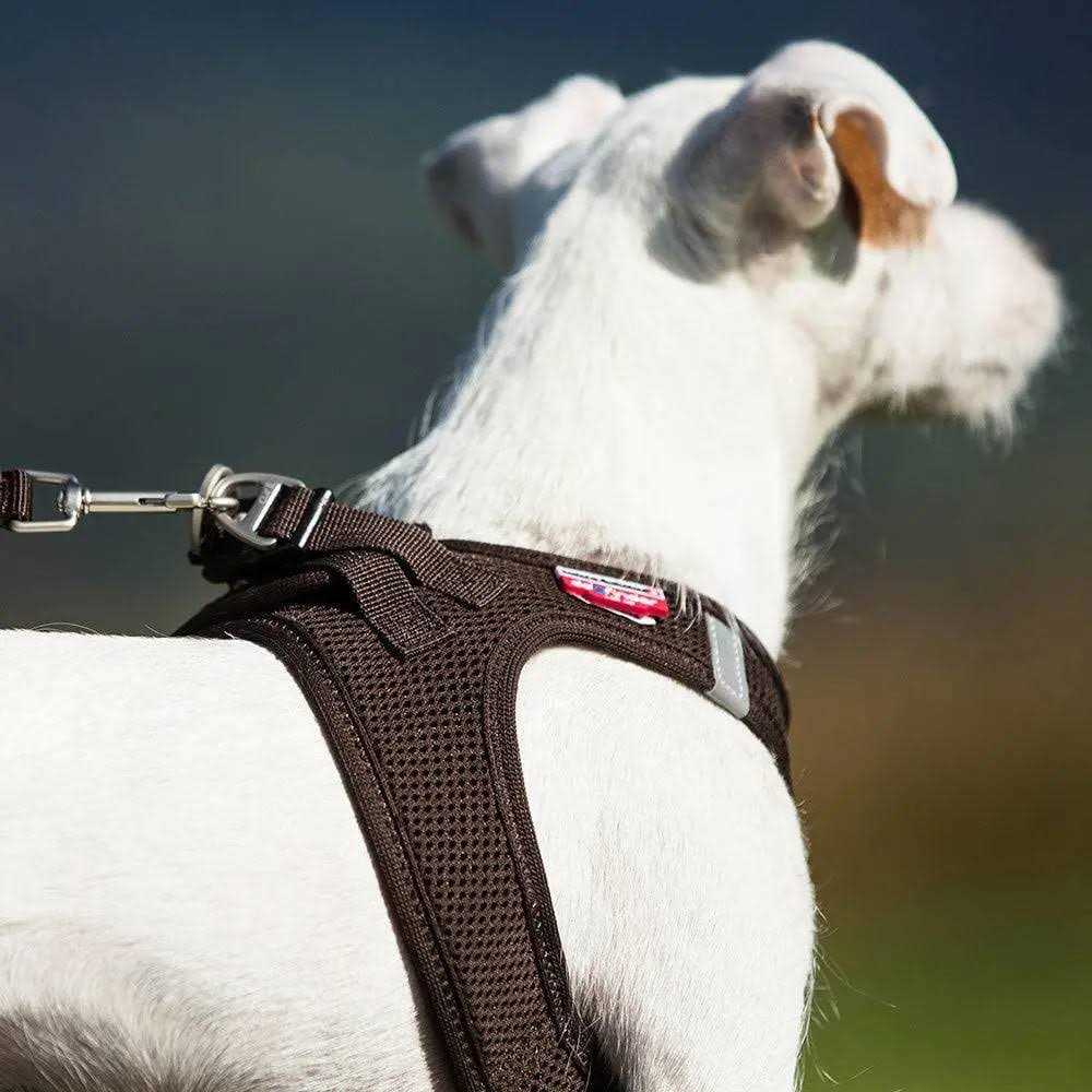 Air-Mesh Vest Harness E454429