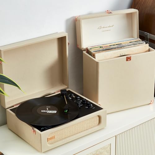 Vinyl Record Storage and Carrying Case, Holds 30 Albums T331