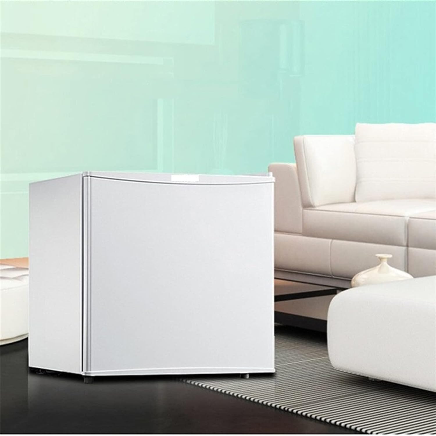 Mini Refrigerator Skincare Fridge N109