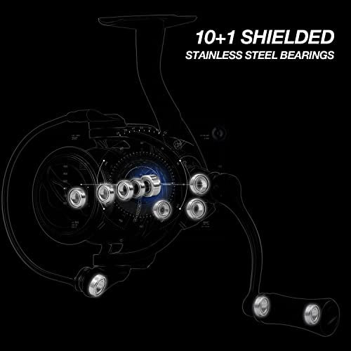 Carbon X Spinning Reel, 5.1oz, Carbon Frame and Rotor, 33LBs Max Drag, 10+1 Shielded BB, 5.2:1/6.2:1 Gear Ratio V622