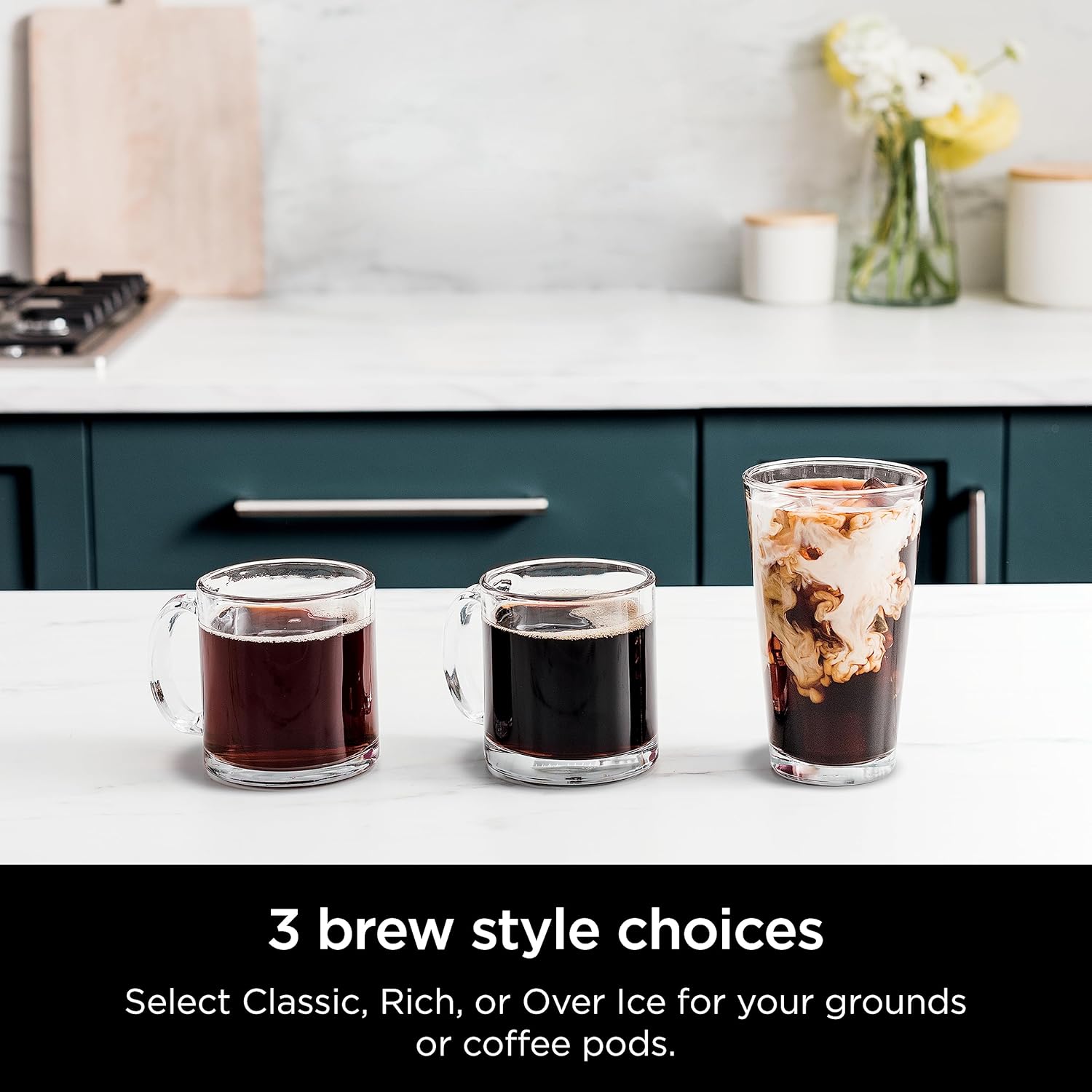Black DualBrew Hot & Iced Coffee Maker P13535
