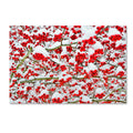 Canvas Art I847539