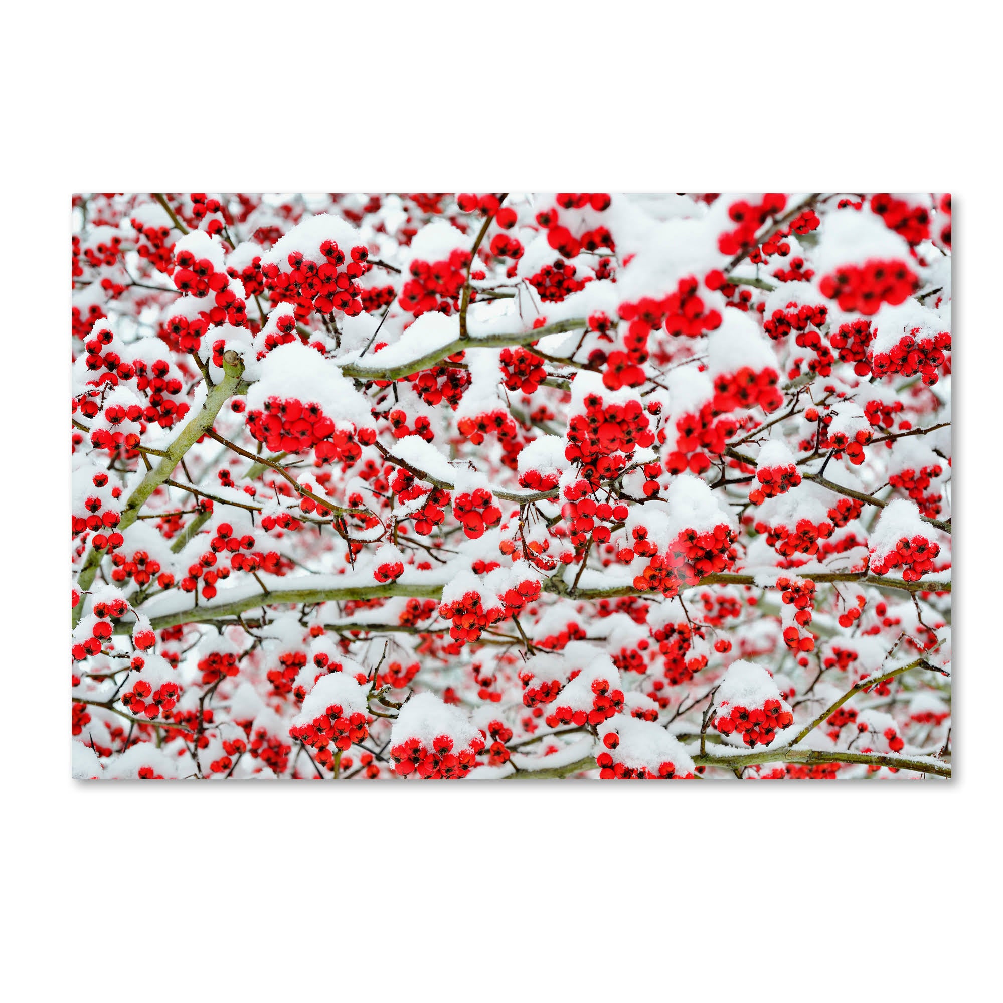 Canvas Art I847539