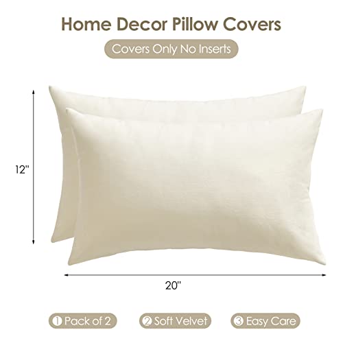 White Velvet Throw Pillow Covers Pack of 2, 22x22 A381
