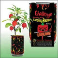 Carolina Reaper Plant Kit P55683