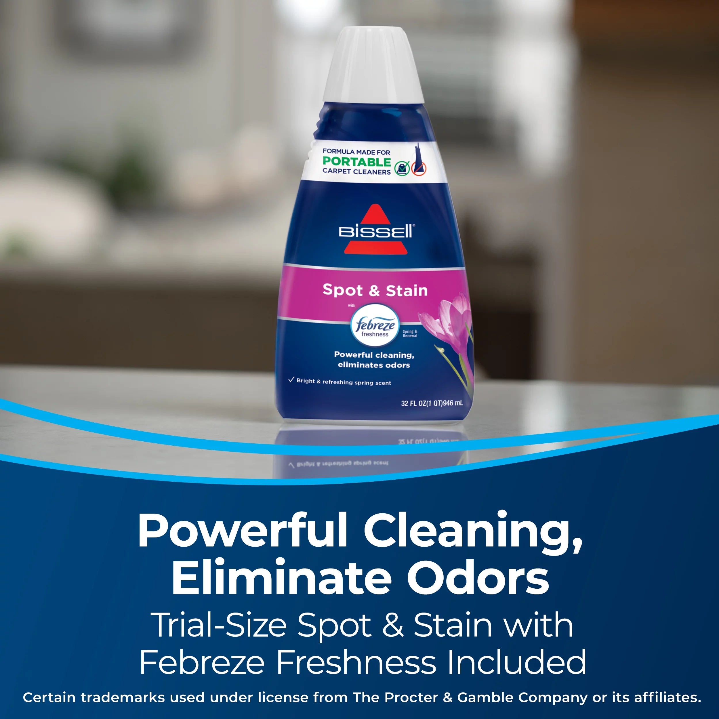 Portable Spot and Stain Cleaner O76112