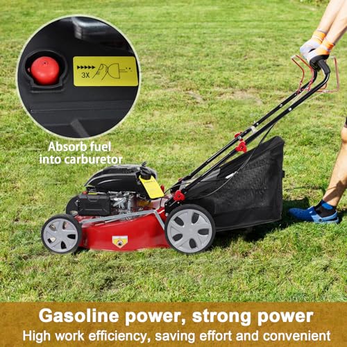 20-Inch Gas Push Lawn Mower, 141CC 4-Cycle Engine, Self Propelled, Side Discharge, High Rear Wheels, 7-Position Single Wheel Height Adjustment (Red) R615