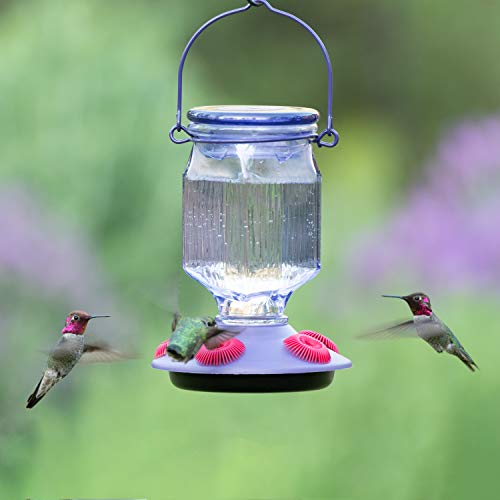 Lavender Field Glass Hummingbird Feeder Purple 16 oz O92293