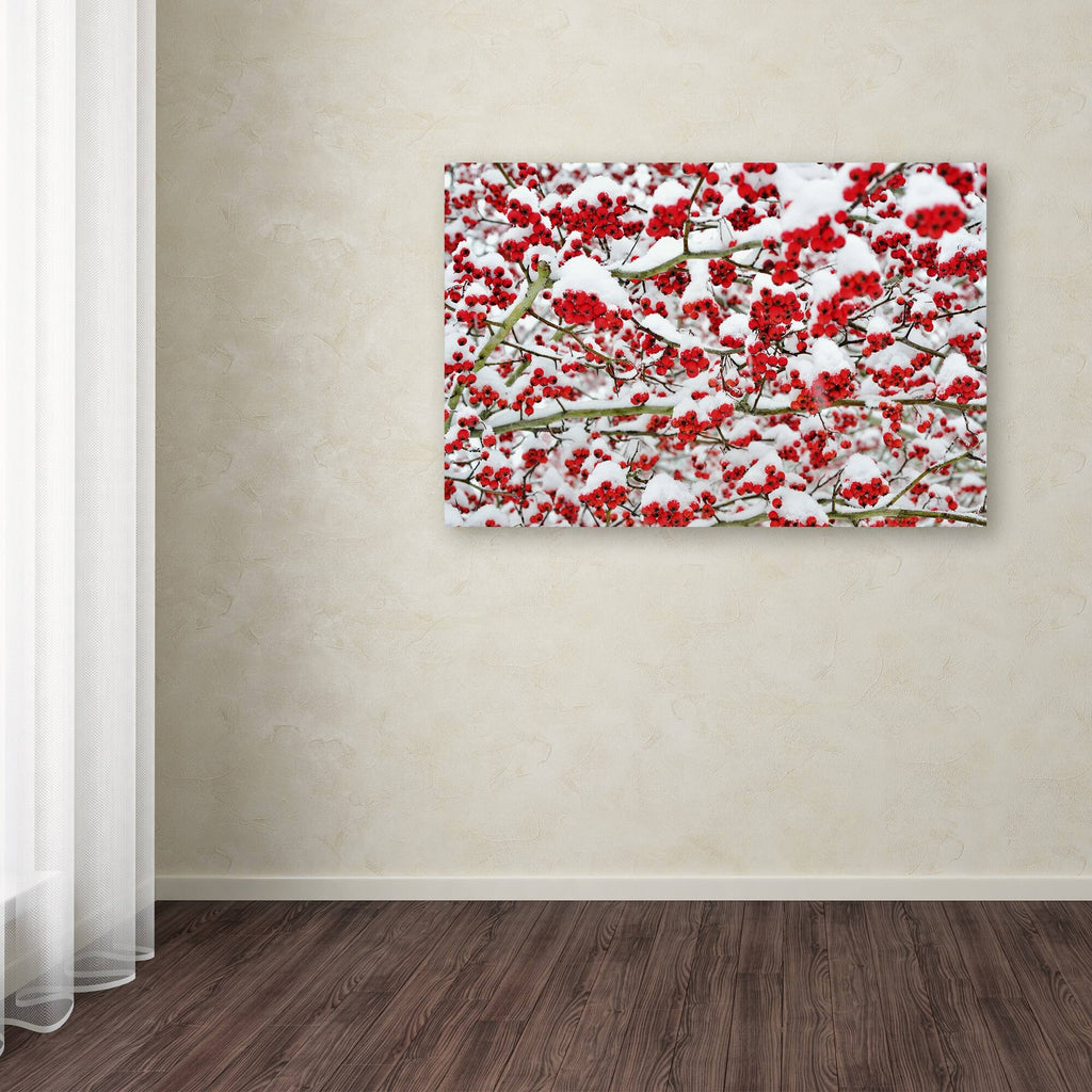 Canvas Art I847539