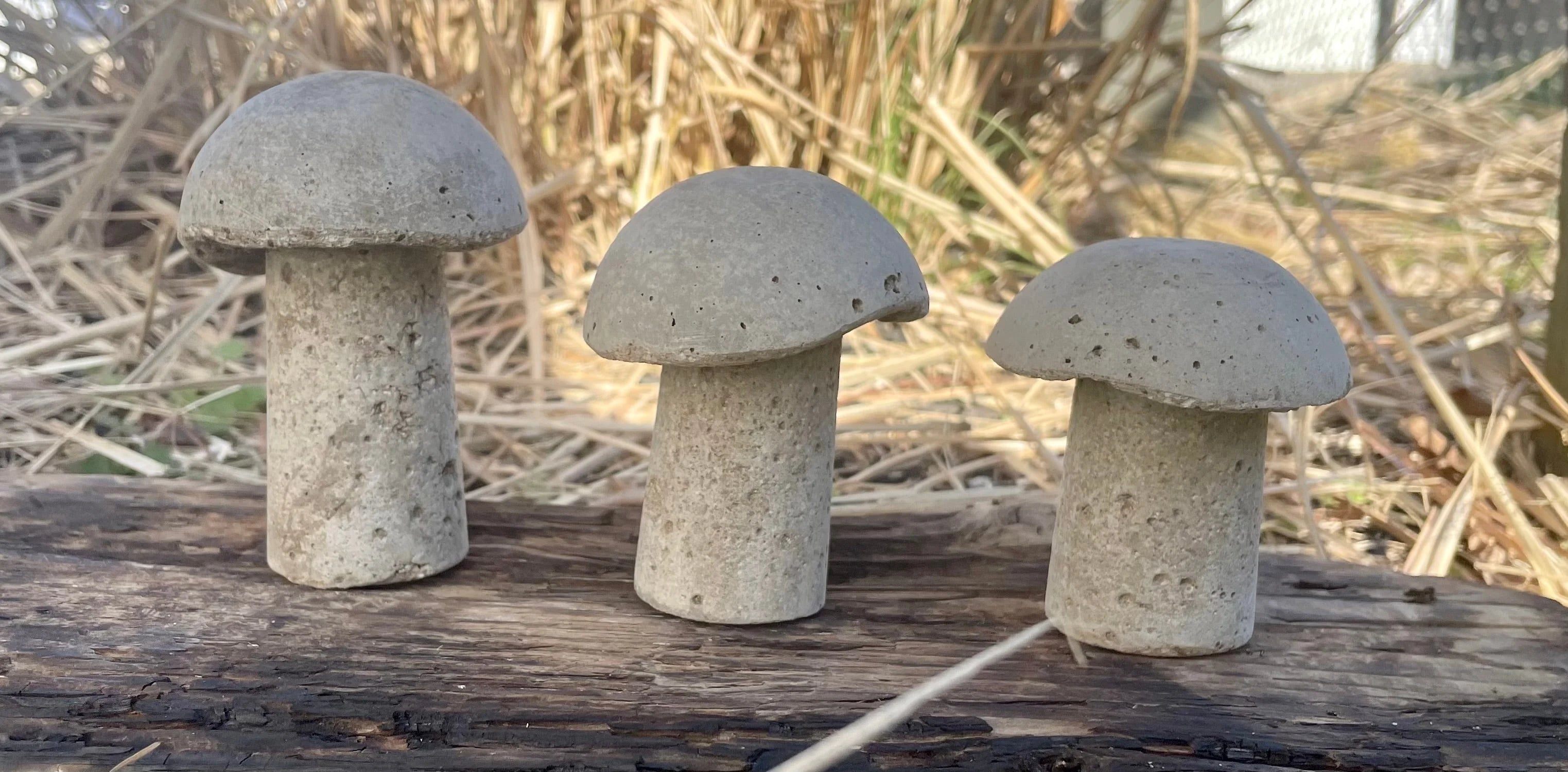 Cement Mushrooms Yard Art Garden Decor N7160