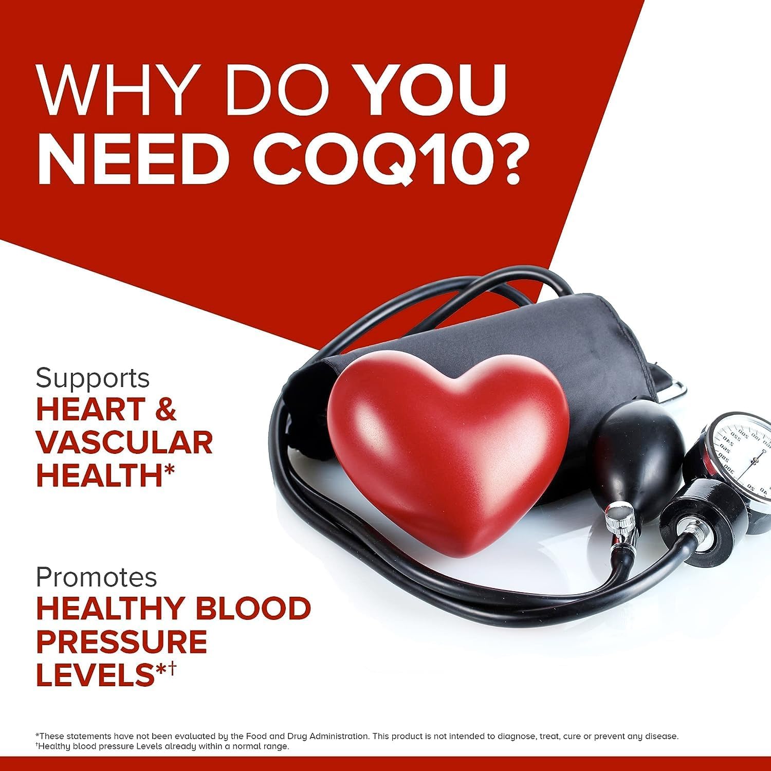 CoQ10 100mg Softgels, 120 Count N104