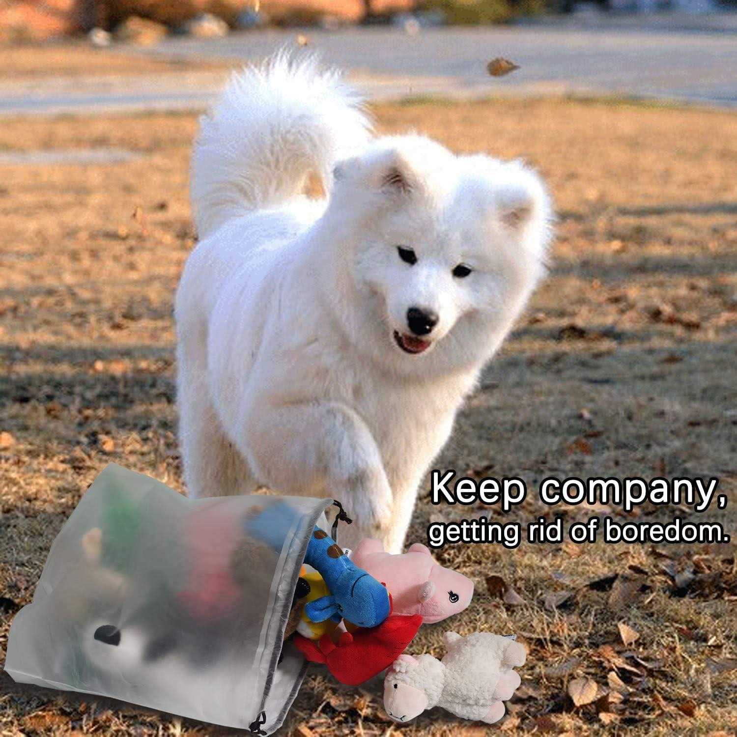 12 Dog Toys Bulk with Squeakers A87638