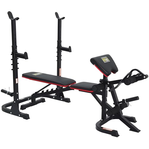 Adjustable 6 Position Utility Bench with Leg Extension and Preacher Pad C5596