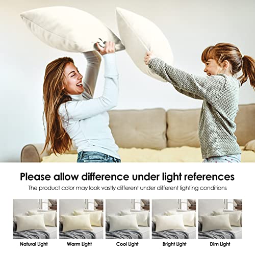 White Velvet Throw Pillow Covers Pack of 2, 22x22 A381