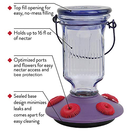 Lavender Field Glass Hummingbird Feeder Purple 16 oz O92293