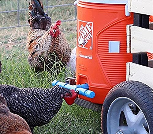 36 Pack Poultry Drinking Machine Chicken Drinking Cup J953836
