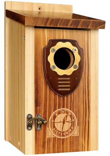 Wooden Hanging Bird House U471479