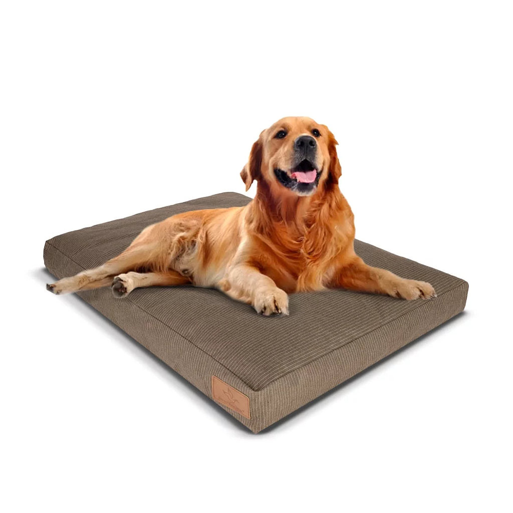 Canvas Dog Bed, Water-Repellent, Removable Washable Cover, Extra Large, Brown G131953