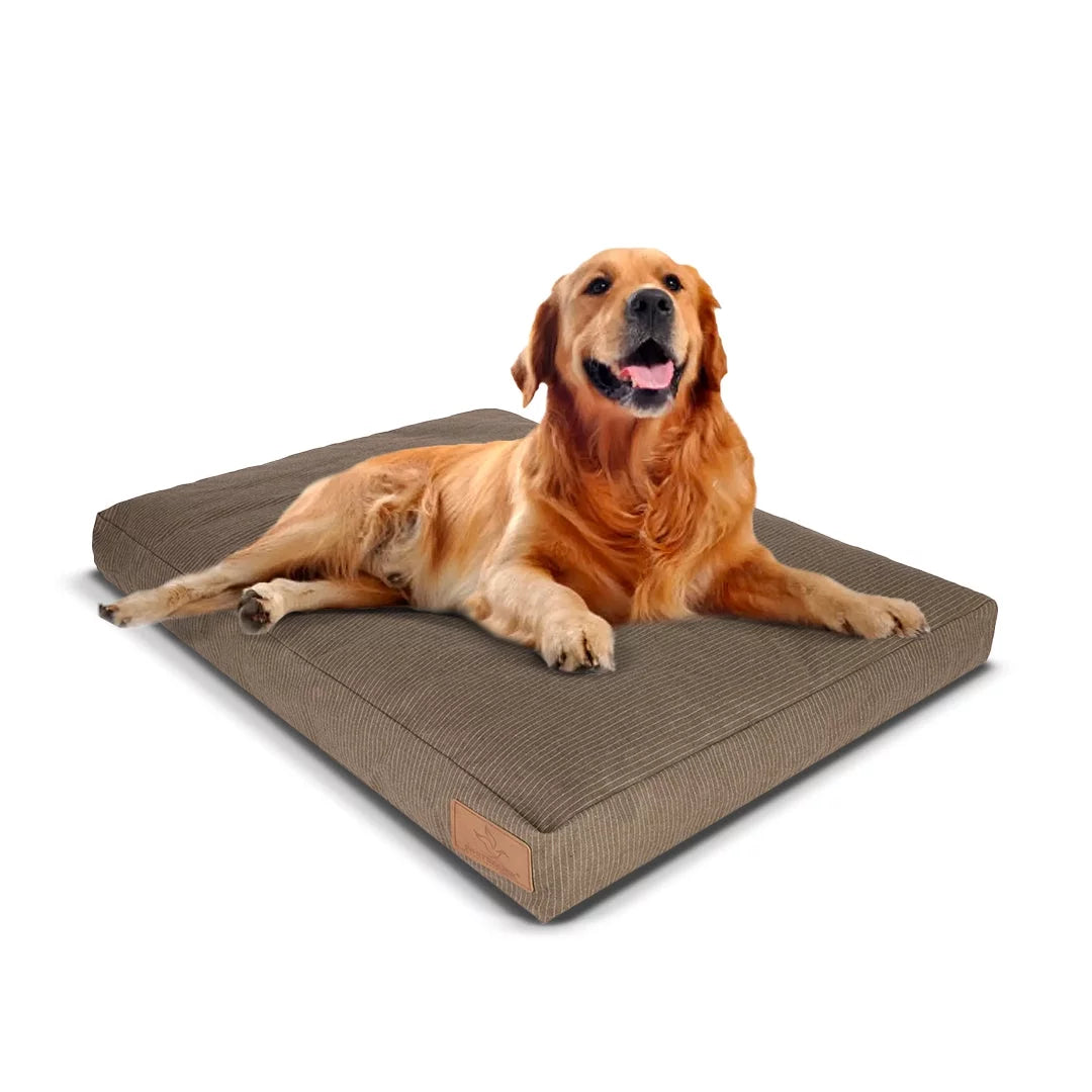Canvas Dog Bed, Water-Repellent, Removable Washable Cover, Extra Large, Brown G131953