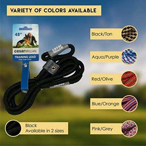 Slip Lead Leash 2-in-1 Dog Training Lead & Collar C502937