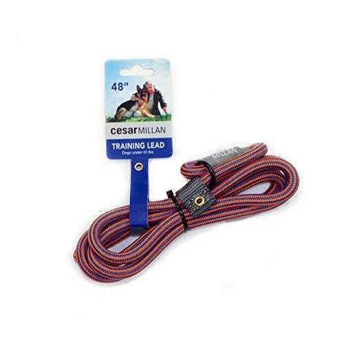 Slip Lead Leash 2-in-1 Dog Training Lead & Collar C502937