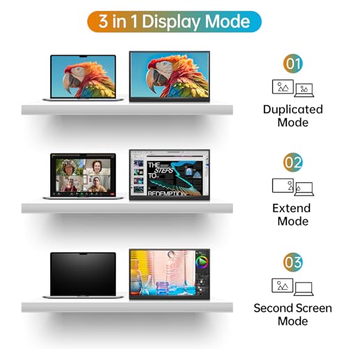 15.6 Inch 1080P USB-C HDMI IPS Portable Monitor D24073