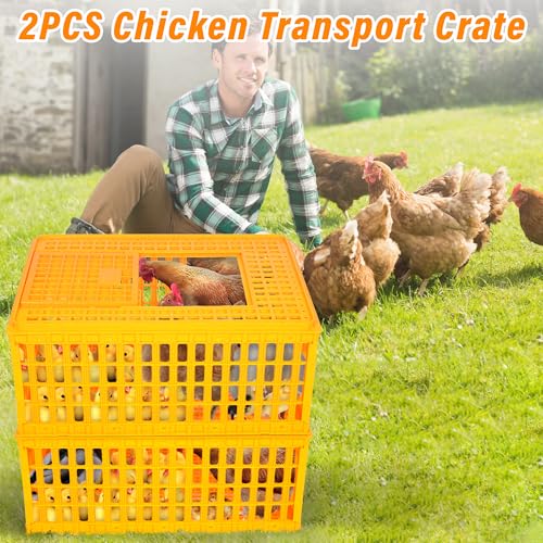 2PCS Plastic Poultry Carrier Crate, 29.5 x 21.7 x 13 Inch Z376427