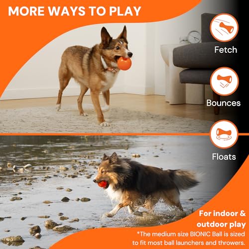 Small Dog Chew Toy L8895