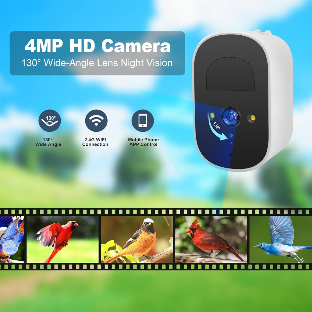Bird Feeder with Camera J127