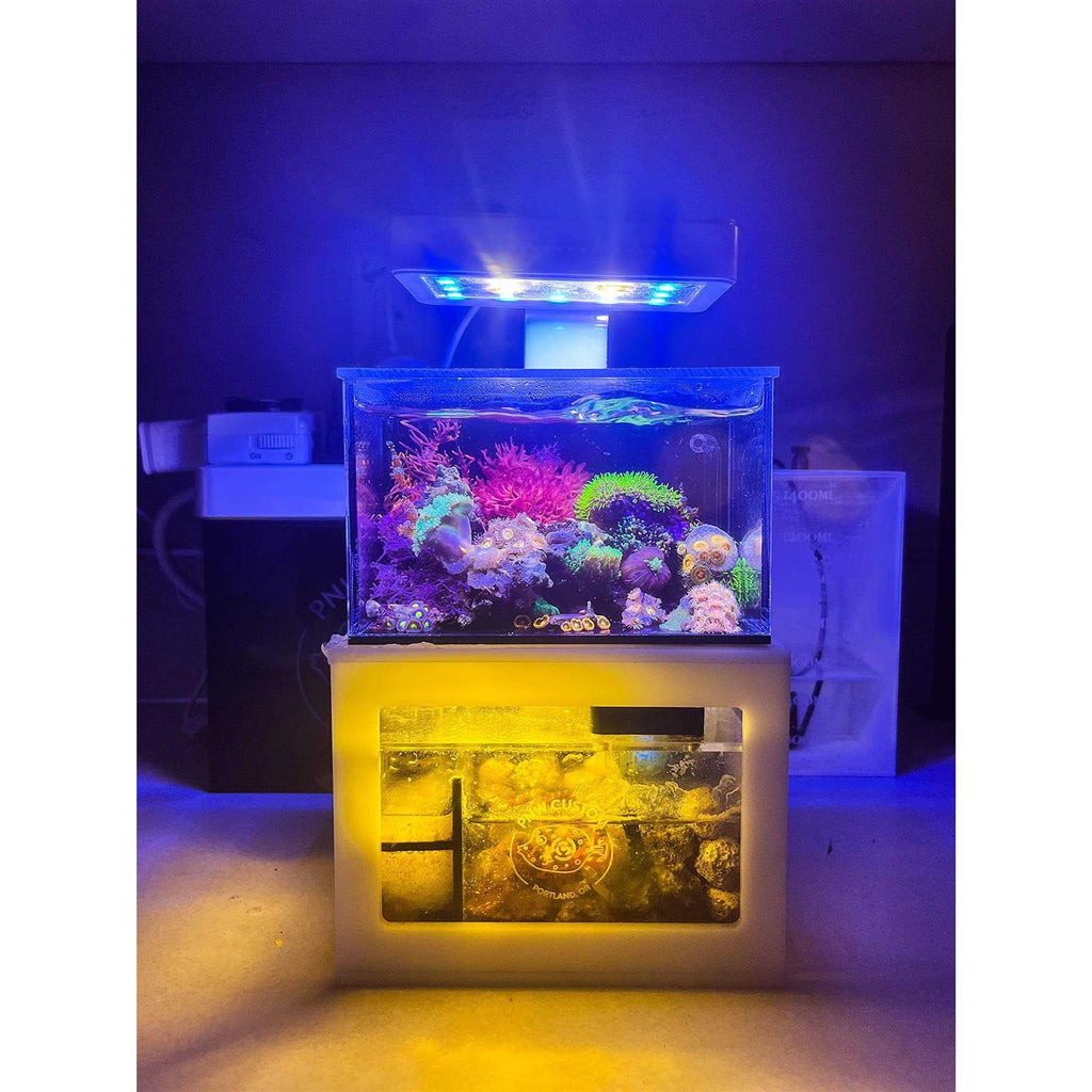 Desktop Aquarium G224