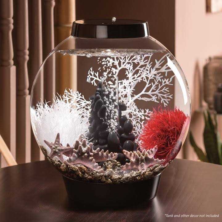 Classic 60 Aquarium with LED X57777