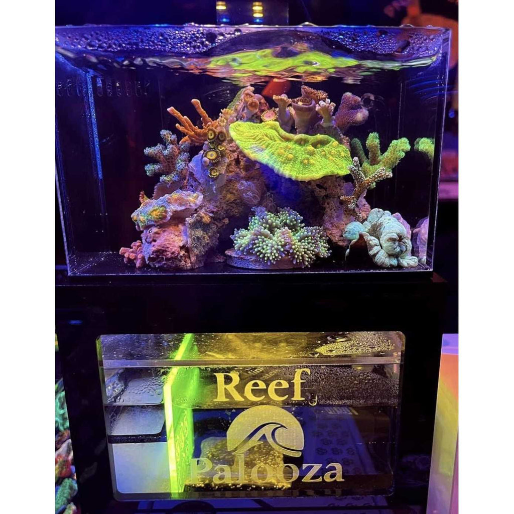 Desktop Aquarium G224