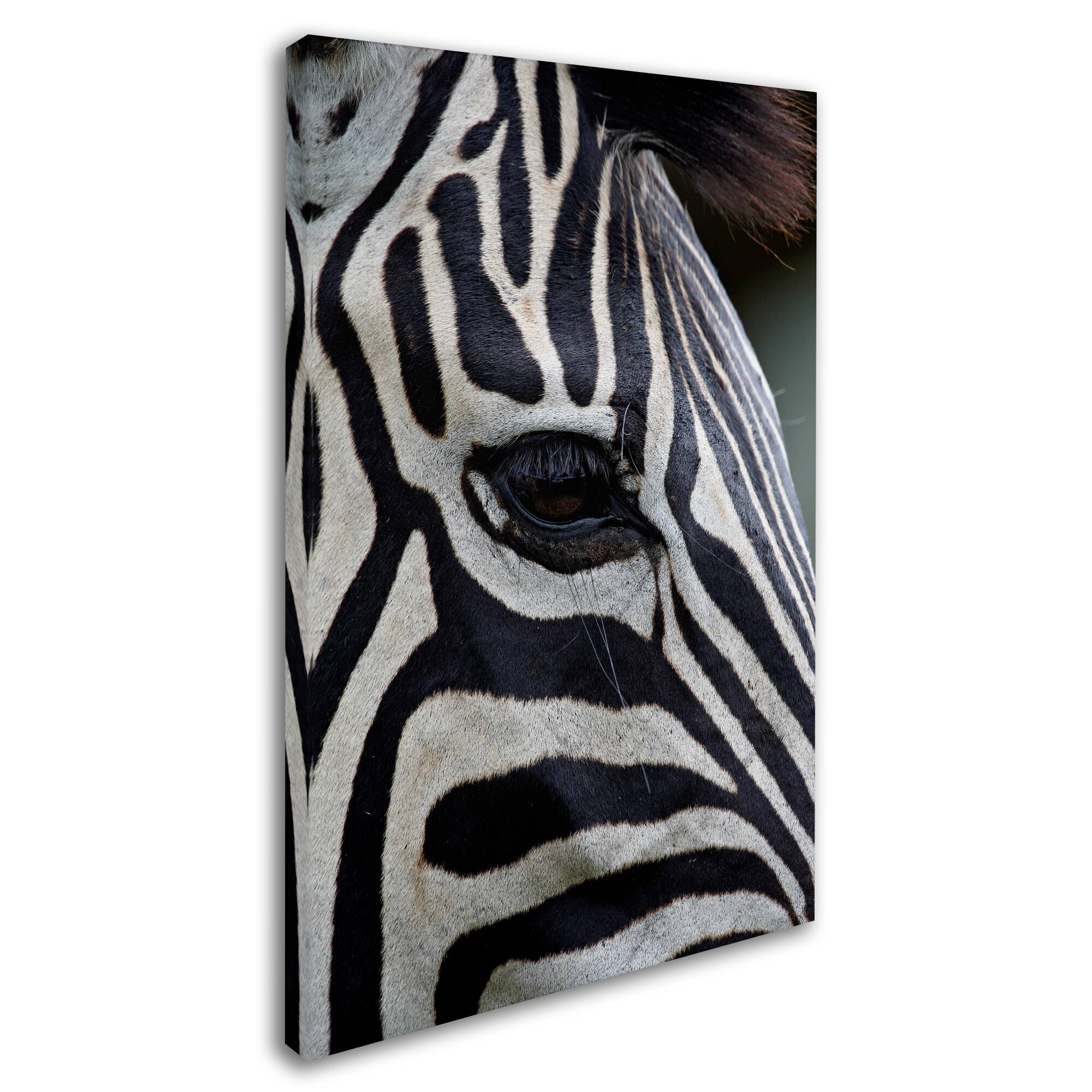 Zebras Canvas Art X435
