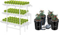 5-Gallon Deep Water Culture Hydroponics Grow System Y568831